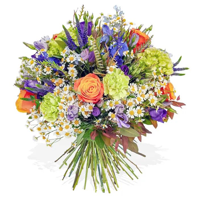 orange-green-WEB-600px__14214.1622817639